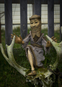 Nimrod 60 cm Gone to live in Alaska