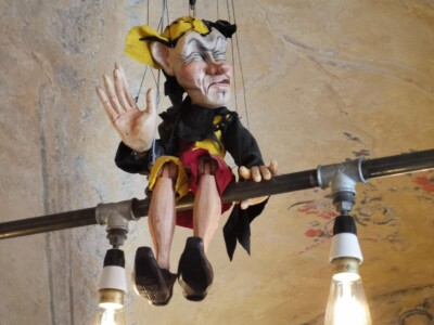 Rarášek 55 cm gone to live in one of the best bars in Prague "www.urarasku.cz"