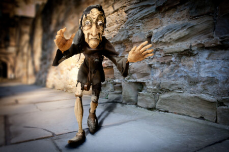 Tinker 55 cm Gone to live in Slovakia £950