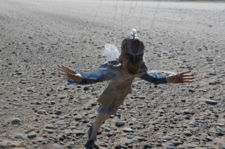 Wind 60 cm Gone to live in Slovakia